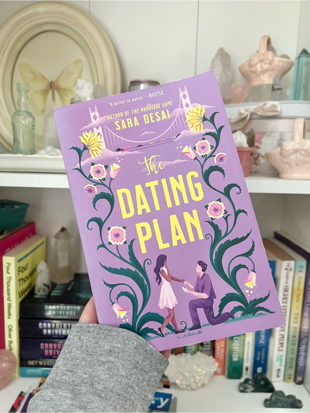 The Dating Plan Sara Desai Paperback Novel Romantic Comedy Jove Berkley Books
